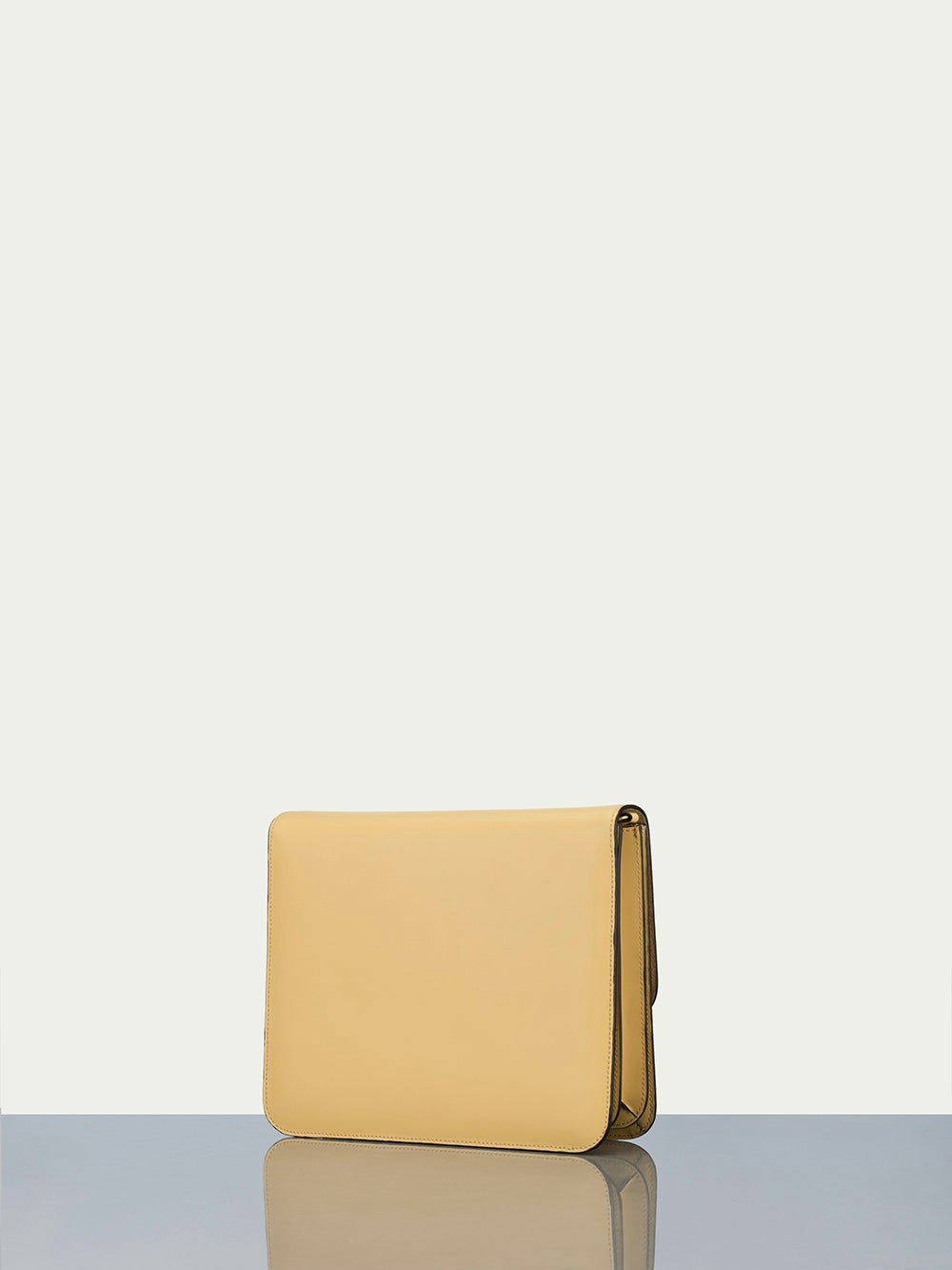 handbag back view